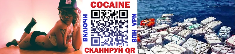 где купить наркотик  гидра   Cocaine FishScale  Менделеевск 