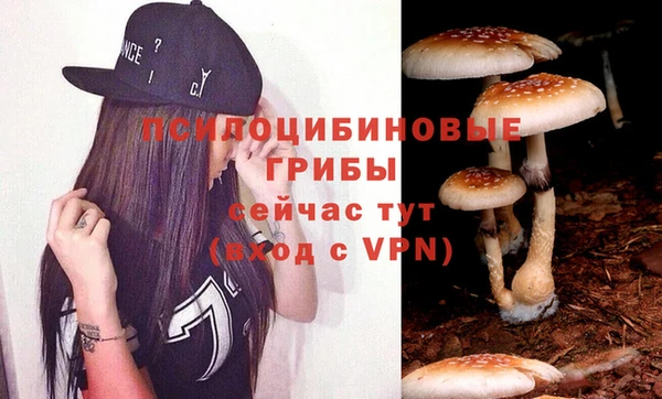 apvp Балабаново